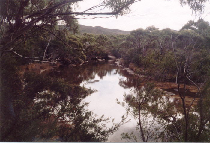 The main creek in Battery Bay.