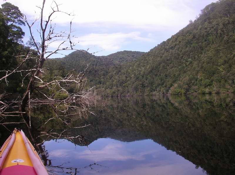 Lower reaches of the Gordon River