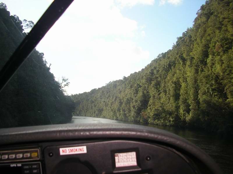 About to land on the Gordon River